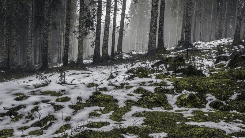 Budget - professional stock photography