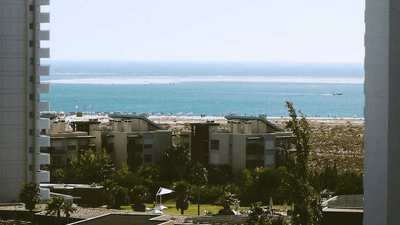 Chart - professional stock photography