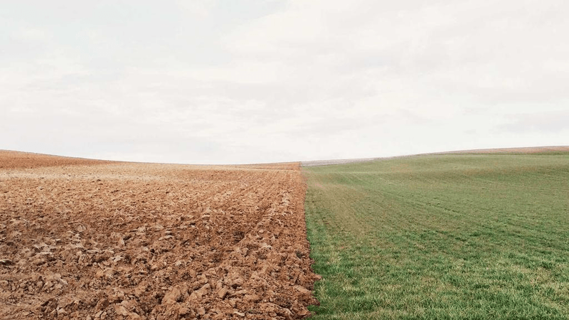 Contract - professional stock photography