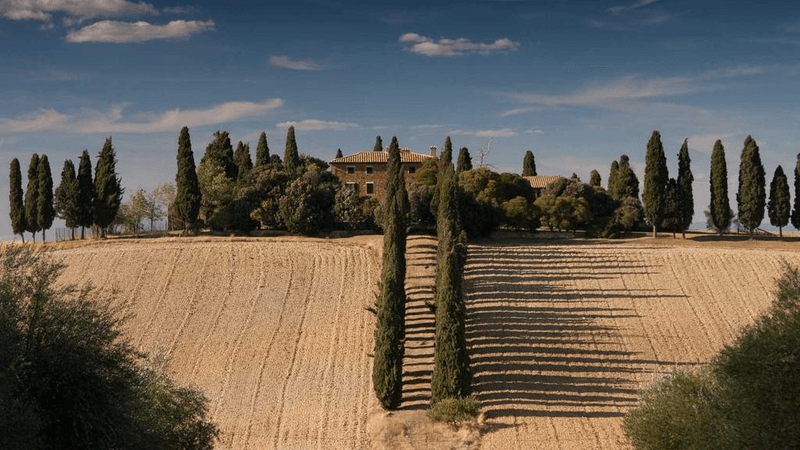 Contract - professional stock photography