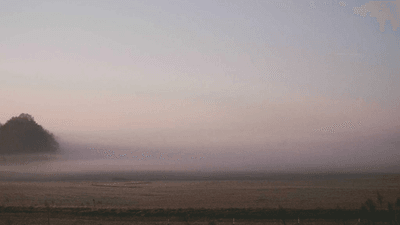 Contract - professional stock photography