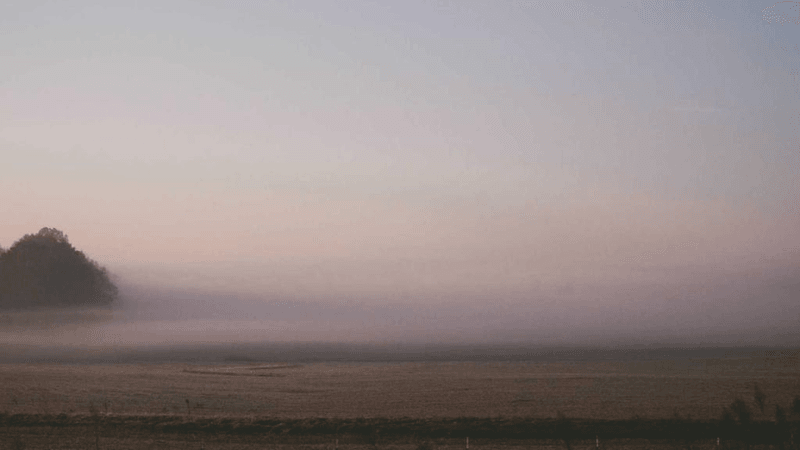 Contract - professional stock photography