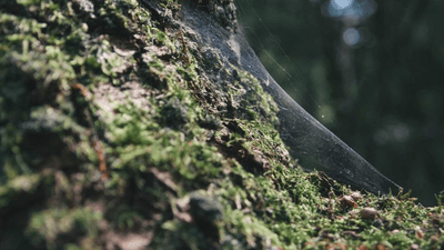 Credit Card - professional stock photography