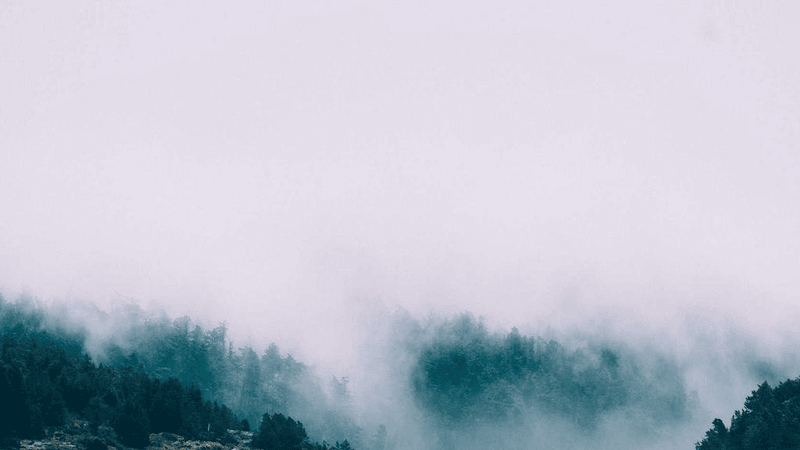 Credit Card - professional stock photography