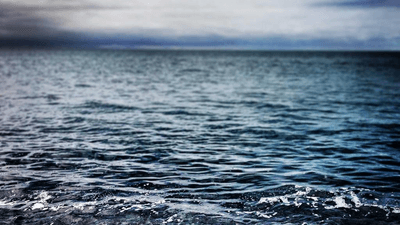 Credit Card - professional stock photography