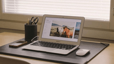 Gold - professional stock photography