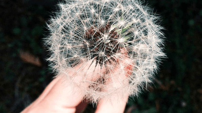 Gold - professional stock photography