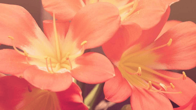 Graph - professional stock photography