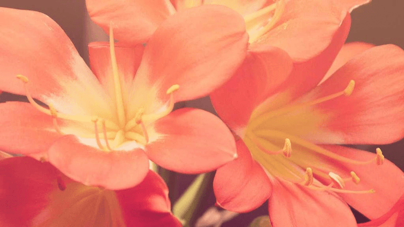 Graph - professional stock photography