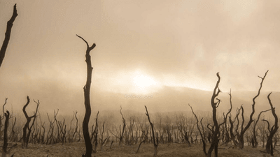 Graph - professional stock photography