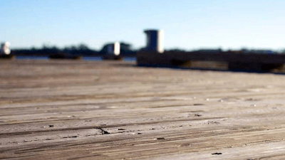 Graph - professional stock photography