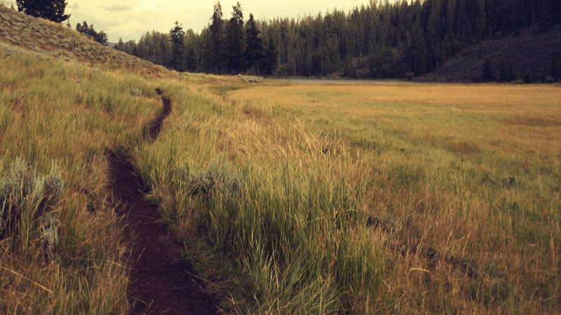 Investment - professional stock photography