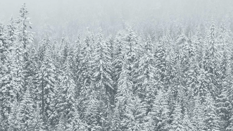 Investment - professional stock photography