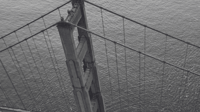 Money - professional stock photography