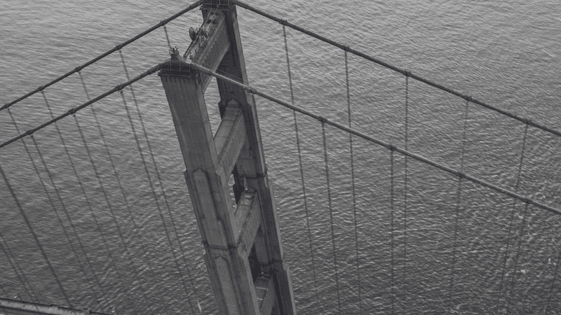 Money - professional stock photography