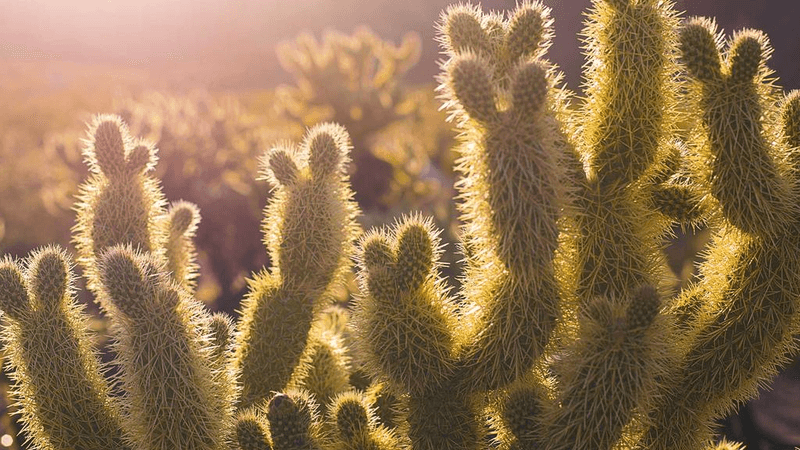 Money - professional stock photography