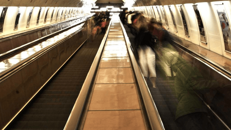 Piggy Bank - professional stock photography