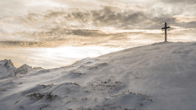 Piggy Bank - professional stock photography