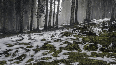 Savings - professional stock photography