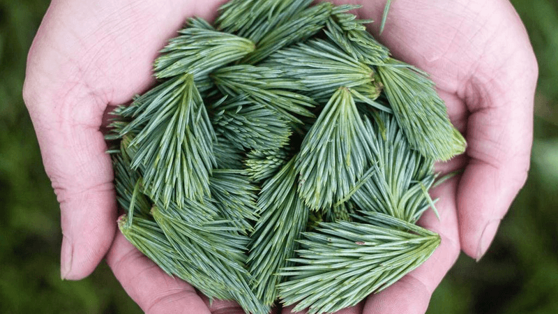 Stocks - professional stock photography